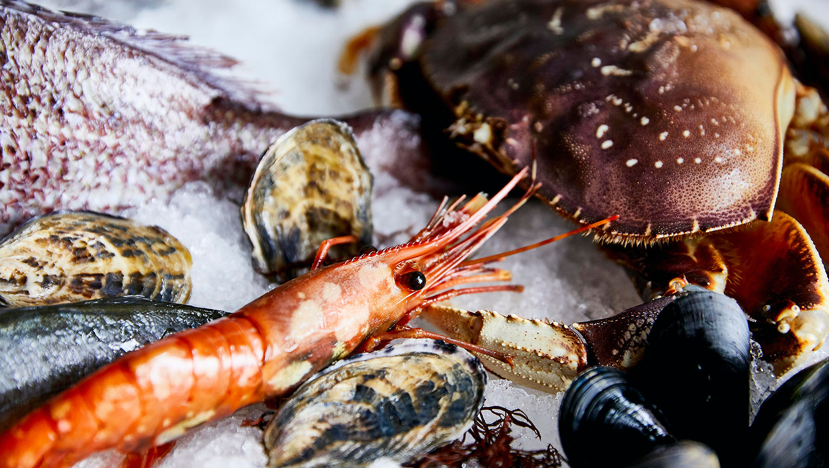 fresh seafood at Willowsong DC