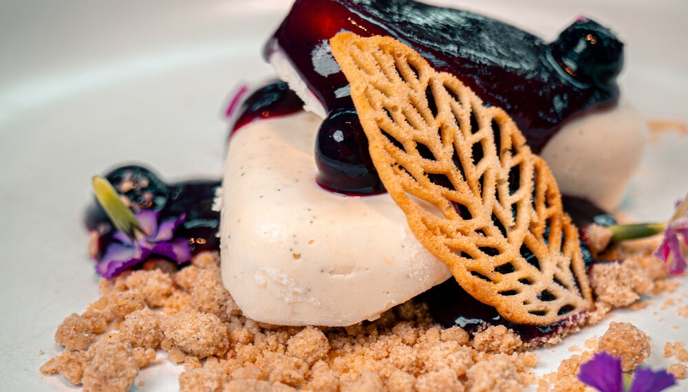 Vanilla dessert with blueberry sauce, fresh blueberries, and a crisp cookie garnish.